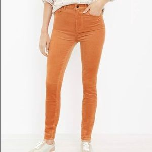 LOFT Terracotta Skinny Pants